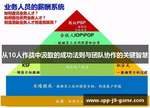 从10人作战中汲取的成功法则与团队协作的关键智慧