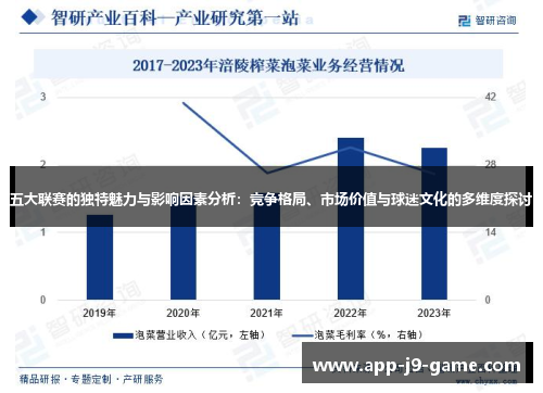 五大联赛的独特魅力与影响因素分析：竞争格局、市场价值与球迷文化的多维度探讨