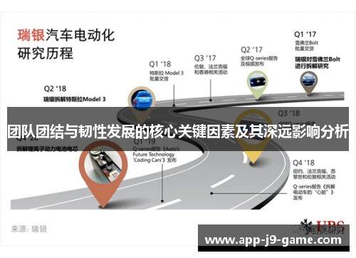 团队团结与韧性发展的核心关键因素及其深远影响分析