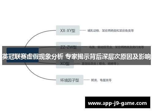 英冠联赛虚假现象分析 专家揭示背后深层次原因及影响 英冠联赛虚假现象分析 专家揭示背后深层次原因及影响