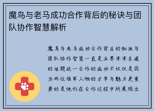 魔鸟与老马成功合作背后的秘诀与团队协作智慧解析